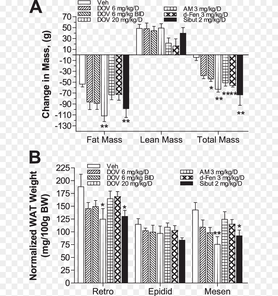 Changes In Body Mass Characteristics Of Dio Rats After Dexfenfluramine, Pattern, Text, Architecture, Building Free Transparent Png