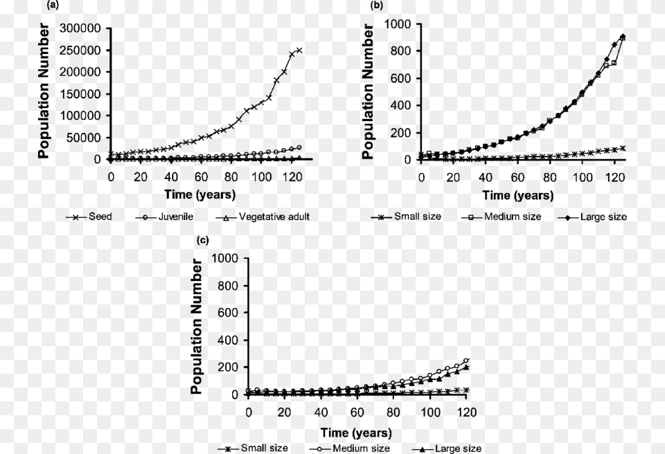 Changes In Population Size For Each Plant Stage Of Diagram, Gray Png Image