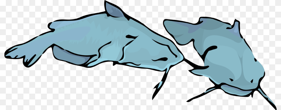 Channel Catfish, Animal, Fish, Mammal, Sea Life Free Transparent Png