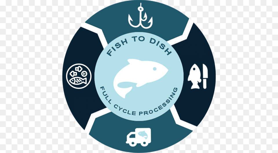 Channel Fish Logo From Fish To Dish Vector Graphics, Electronics, Hardware, Animal, Sea Life Png Image
