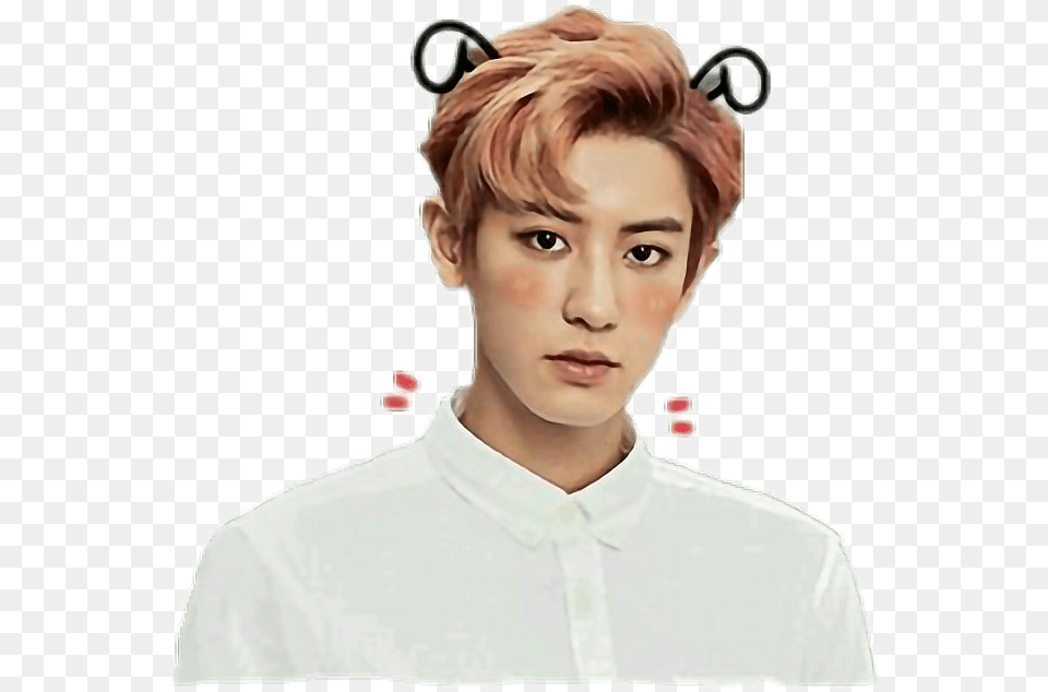 Chanyeol Exo Cute Sticker Chanyeol, Adult, Face, Head, Male Free Transparent Png