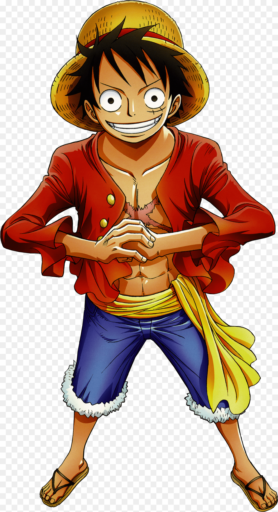 Character Profile Wikia One Piece Luffy Free Png