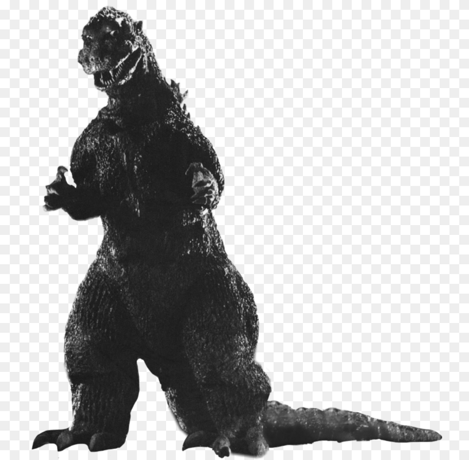 Character Stats And Profiles Old Godzilla 1954, Person Png