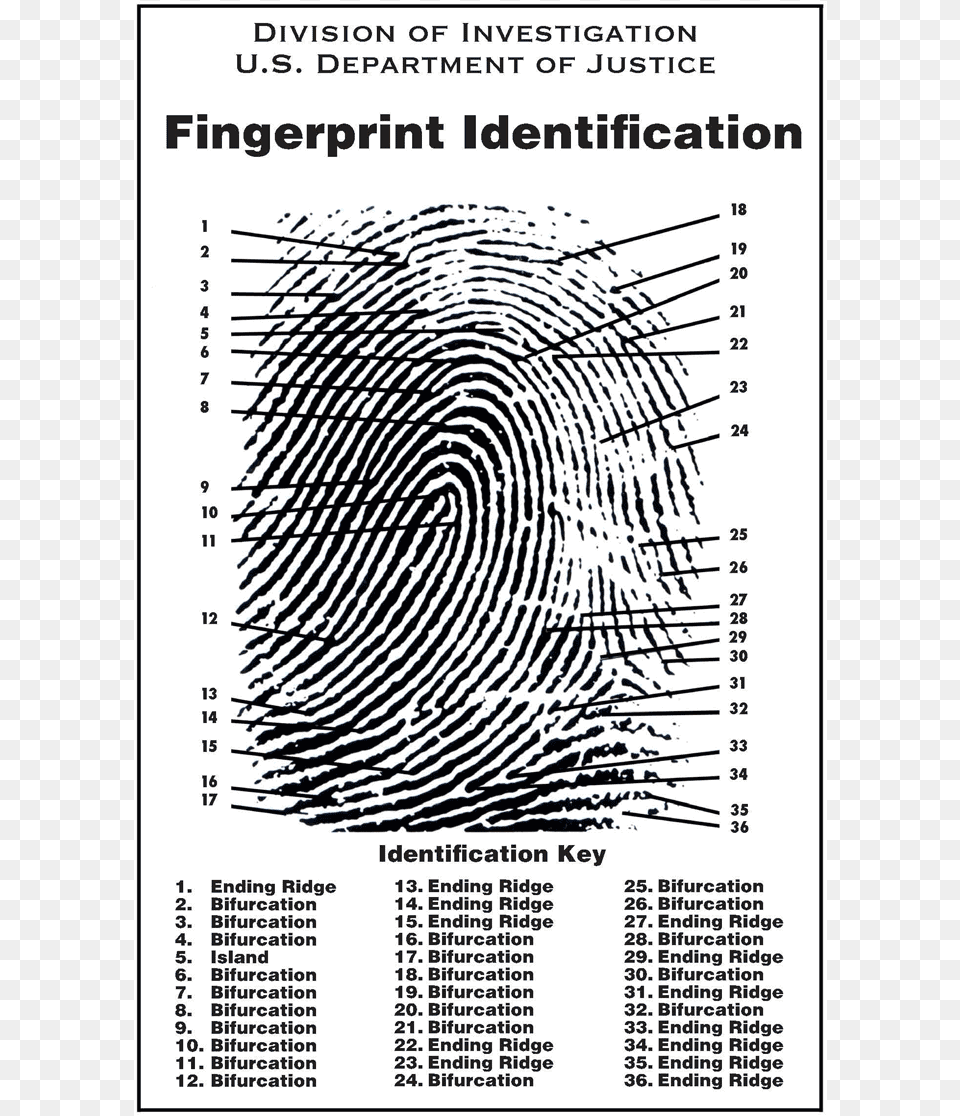 Characteristics Of A Fingerprint, Page, Text, Chart, Diagram Free Transparent Png