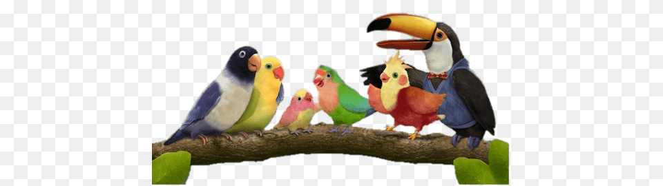 Characters, Animal, Beak, Bird Png Image