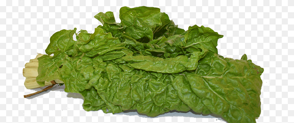 Chard, Food, Lettuce, Plant, Produce Free Transparent Png