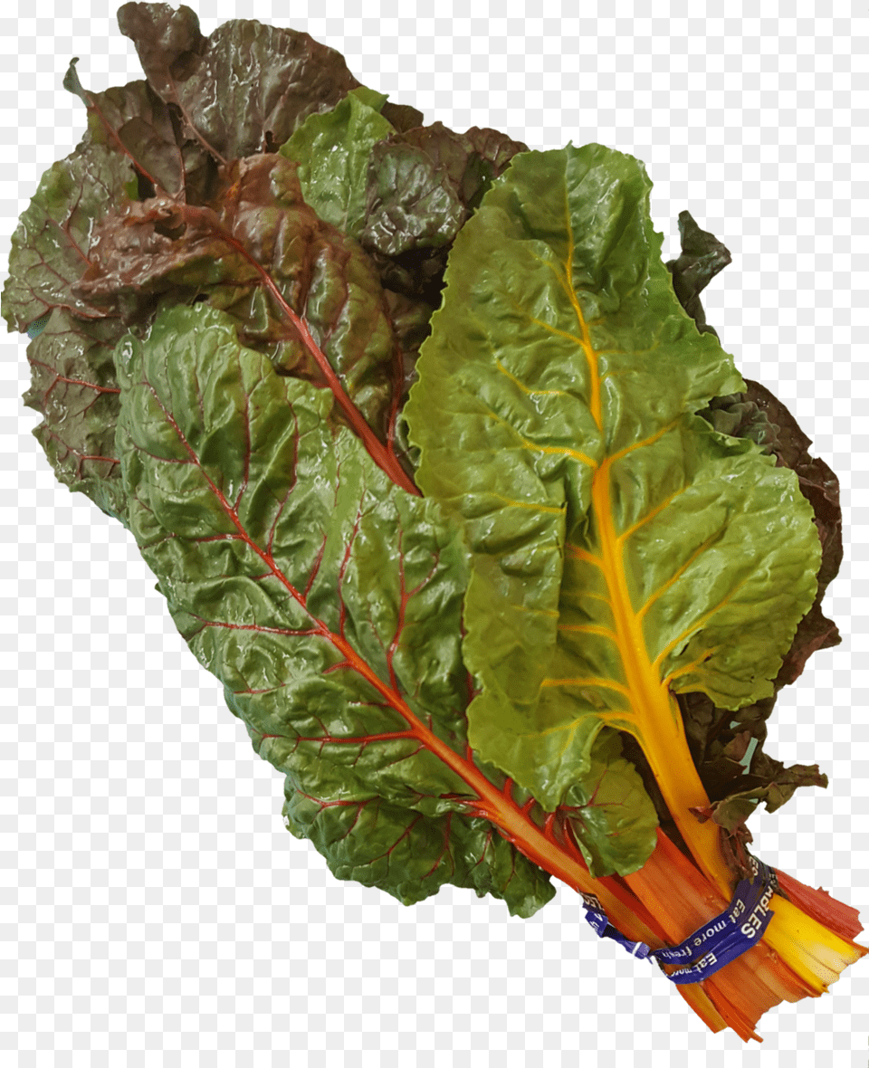 Chard, Plant, Food, Produce, Kale Png