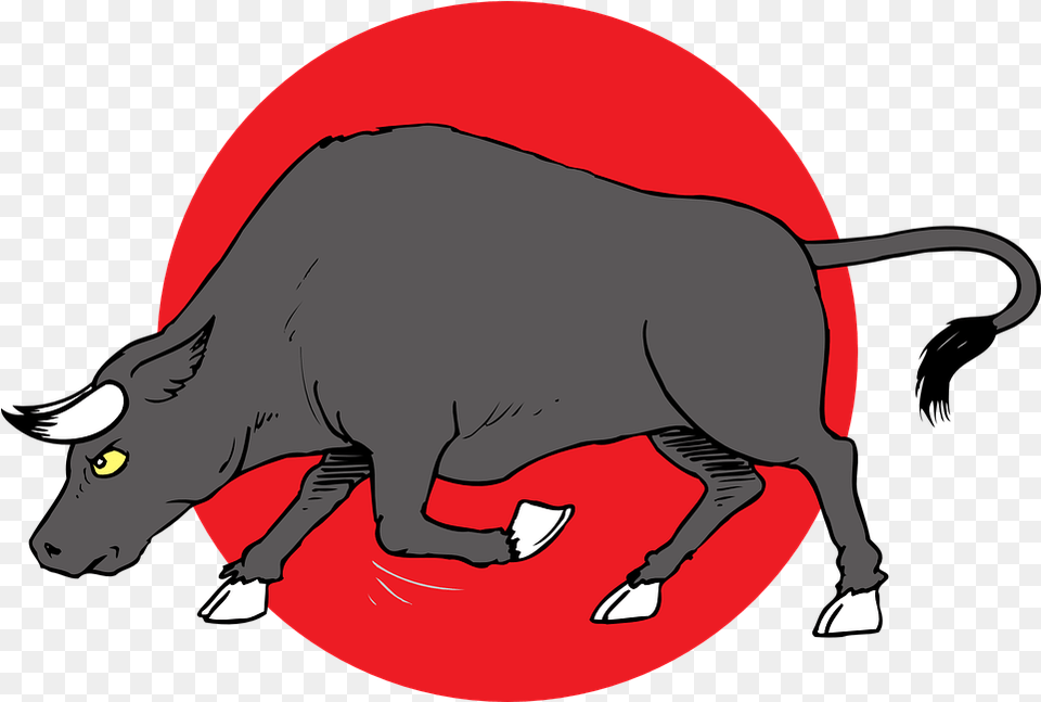 Charge Bull Horns Animated Bull, Animal, Mammal, Baby, Hog Free Transparent Png