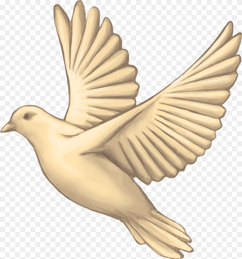 Charitable Mint Charitablemint Twitter The Charitable Mint, Animal, Bird, Pigeon, Dove Png Image