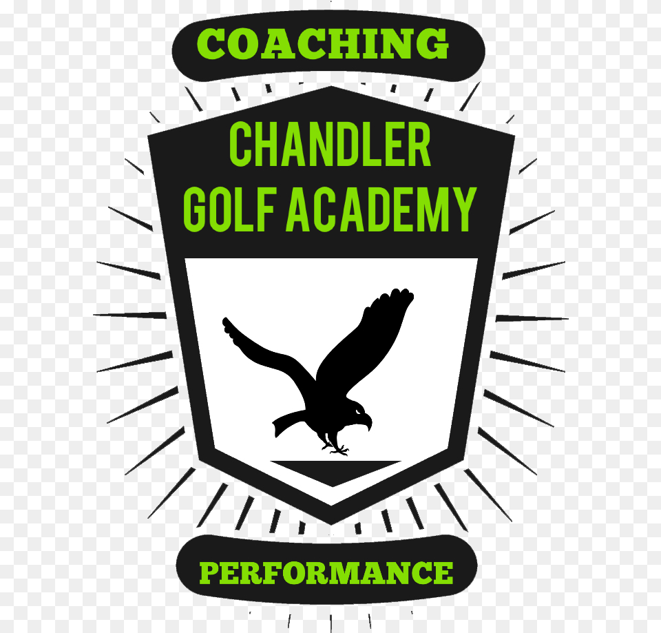 Charles Chandler Golf Academy Golf Coaching Boise Amp, Advertisement, Poster, Animal, Bird Free Transparent Png