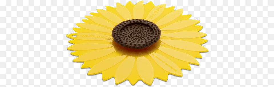 Charles Viancin 1104eu Silicone Sunflower Lid Suitable, Daisy, Flower, Plant, Petal Free Transparent Png