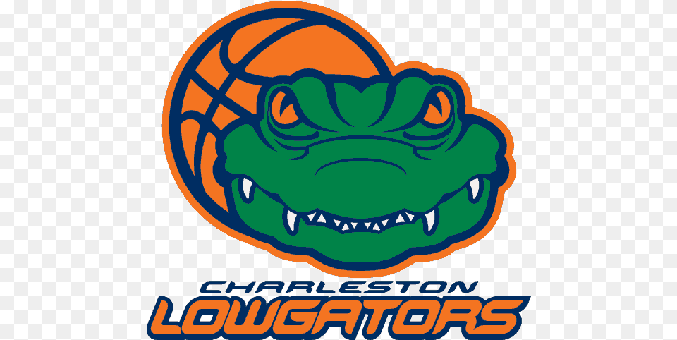 Charleston Lowgators Primary Logo North Charleston Lowgators Nba Logo, Baby, Person Png