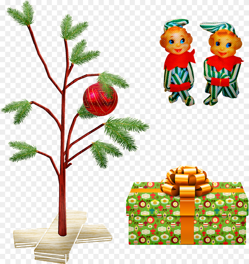 Charlie Brown Christmas Tree Elf Gift Christmas, Plant, Baby, Person, Face Png Image
