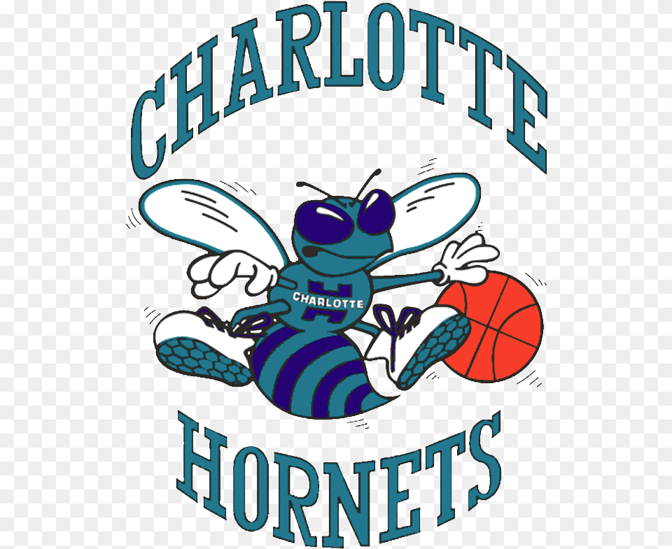Charlotte Hornets Charlotte Hornets, Animal, Bee, Insect, Invertebrate Free Transparent Png