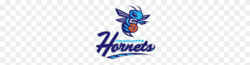 Charlotte Hornets Concept Logo Sports Logo History, Animal, Bee, Insect, Invertebrate Free Png