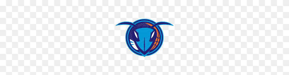 Charlotte Hornets Concept Logo Sports Logo History, Animal, Symbol, Invertebrate, Insect Free Png