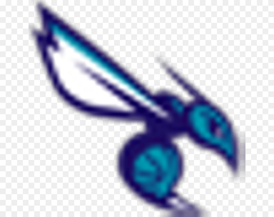 Charlotte Hornets Hornets Nba, Person, Animal, Bee, Insect Png