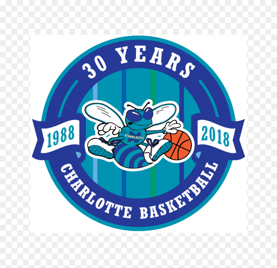 Charlotte Hornets Logos Iron Onsiron On Transfers, Logo, Baby, Person Png Image