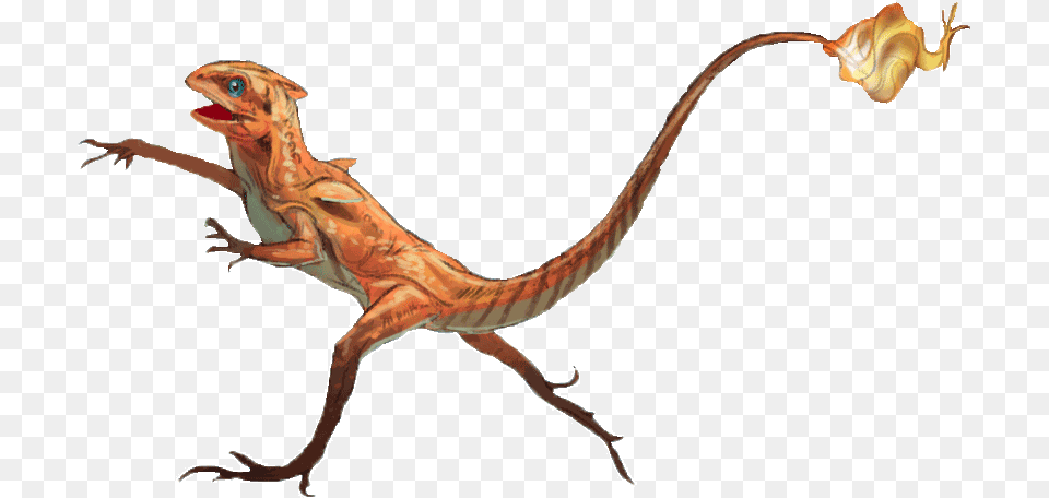 Charmander Realistic Charmander, Animal, Reptile, Dinosaur Png
