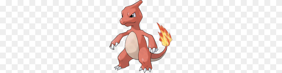 Charmeleon, Fire, Flame, Electronics, Hardware Free Png Download