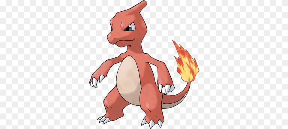 Charmeleon Pokemon Charmeleon, Electronics, Hardware, Adult, Female Free Transparent Png