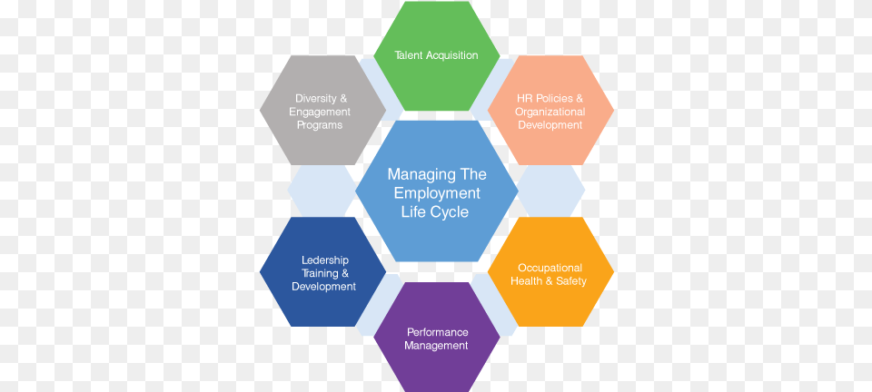 Chart Comprehensive Planning Png Image