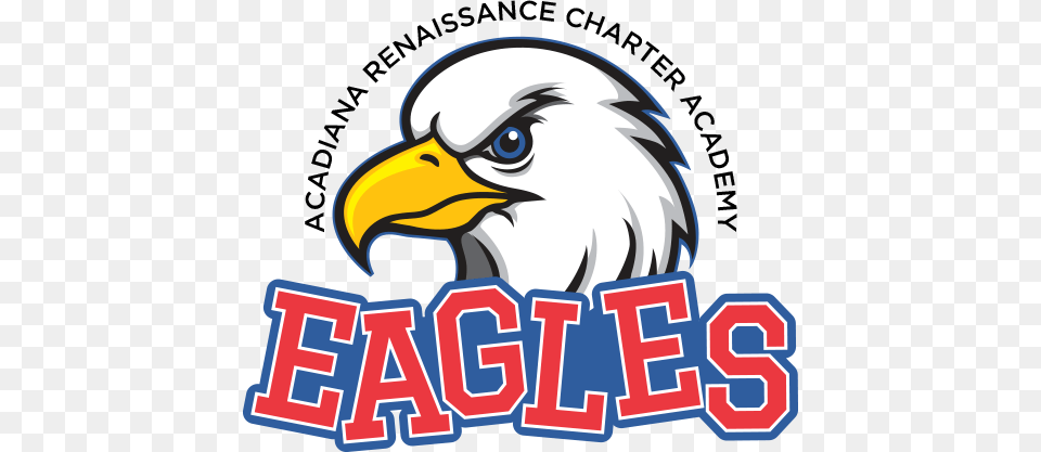 Charter Schools Usa, Animal, Beak, Bird, Eagle Free Png