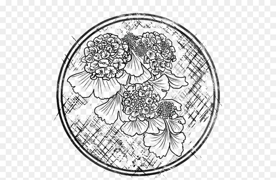 Chassia And Teylon Line Art Free Png Download