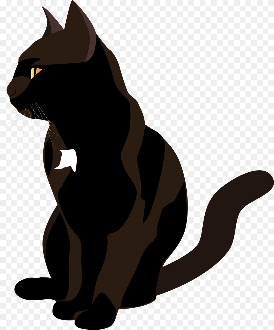 Chat Noir Seul Black Cat, Animal, Mammal, Pet, Adult Png Image