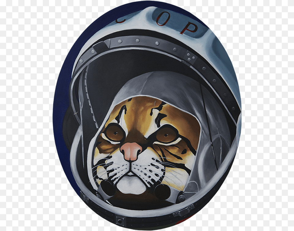 Chat Ocelot, Crash Helmet, Helmet, Clothing, Hardhat Free Png