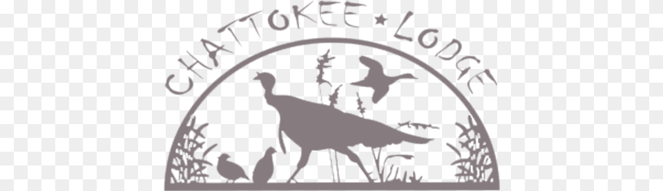 Chattokee Lodge, Animal, Deer, Mammal, Wildlife Free Png