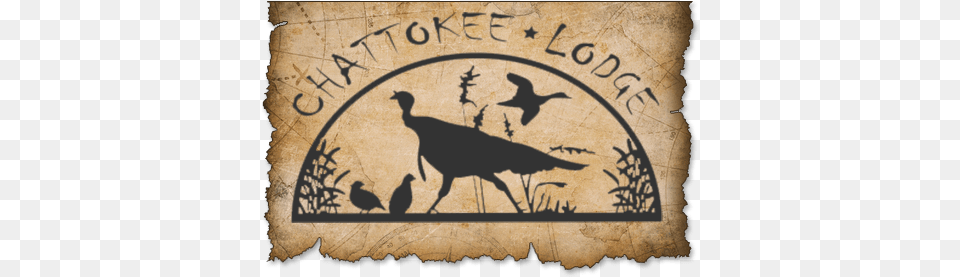 Chattokee Lodge, Animal, Bird, Silhouette, Deer Free Png Download