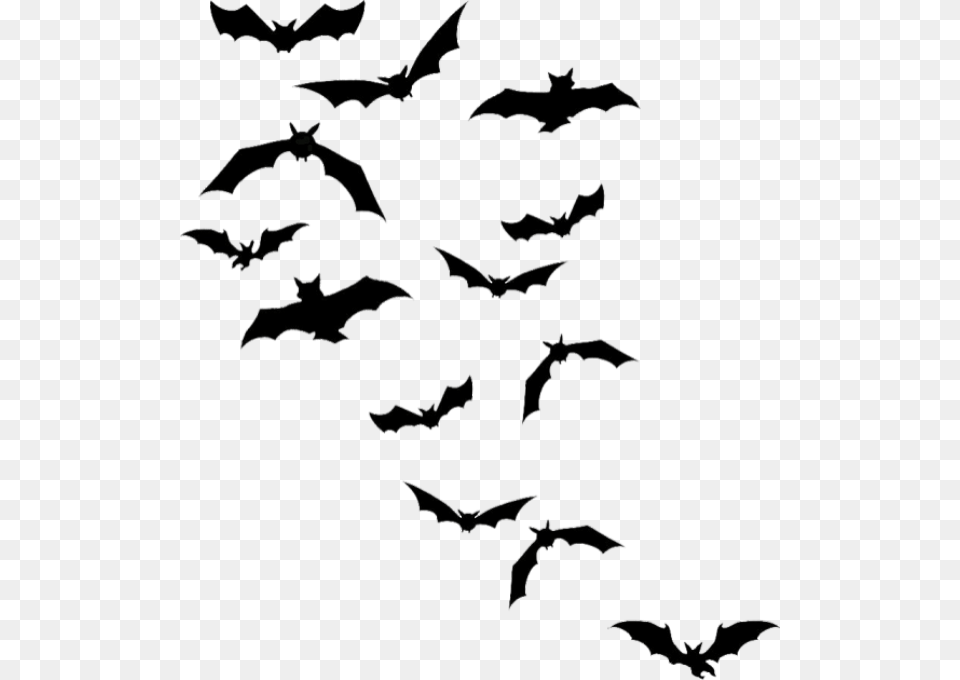 Chauves Souris Tube Halloween Bat Silhouettes, Person Free Png Download