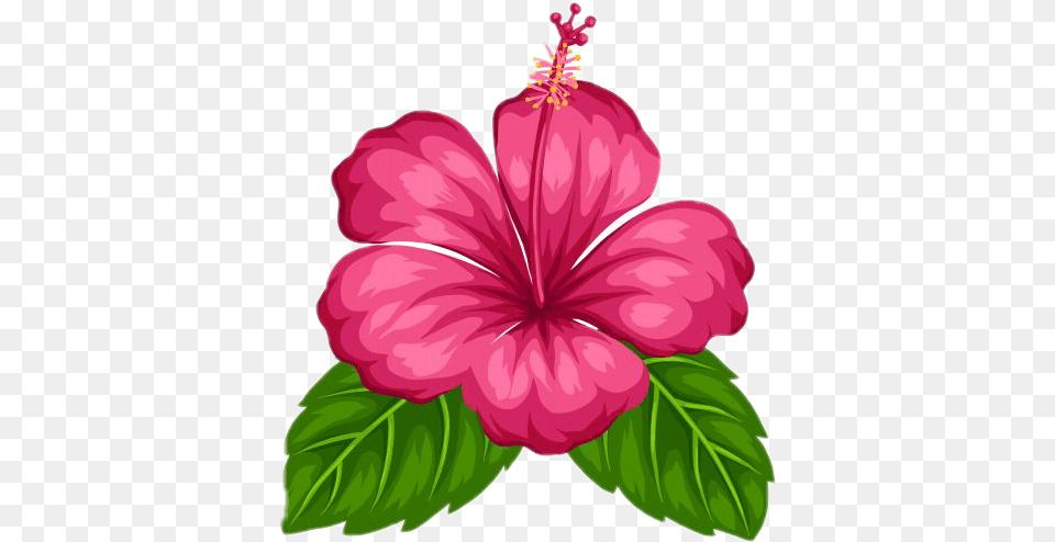 Check Out The Sticker Made, Flower, Hibiscus, Plant, Anther Free Transparent Png