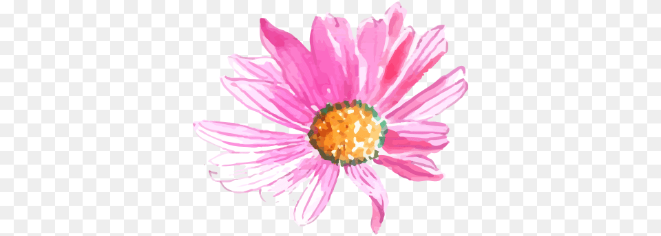 Check Pattern Background Beautiful Watercolor Flower Logo, Dahlia, Daisy, Petal, Plant Free Png