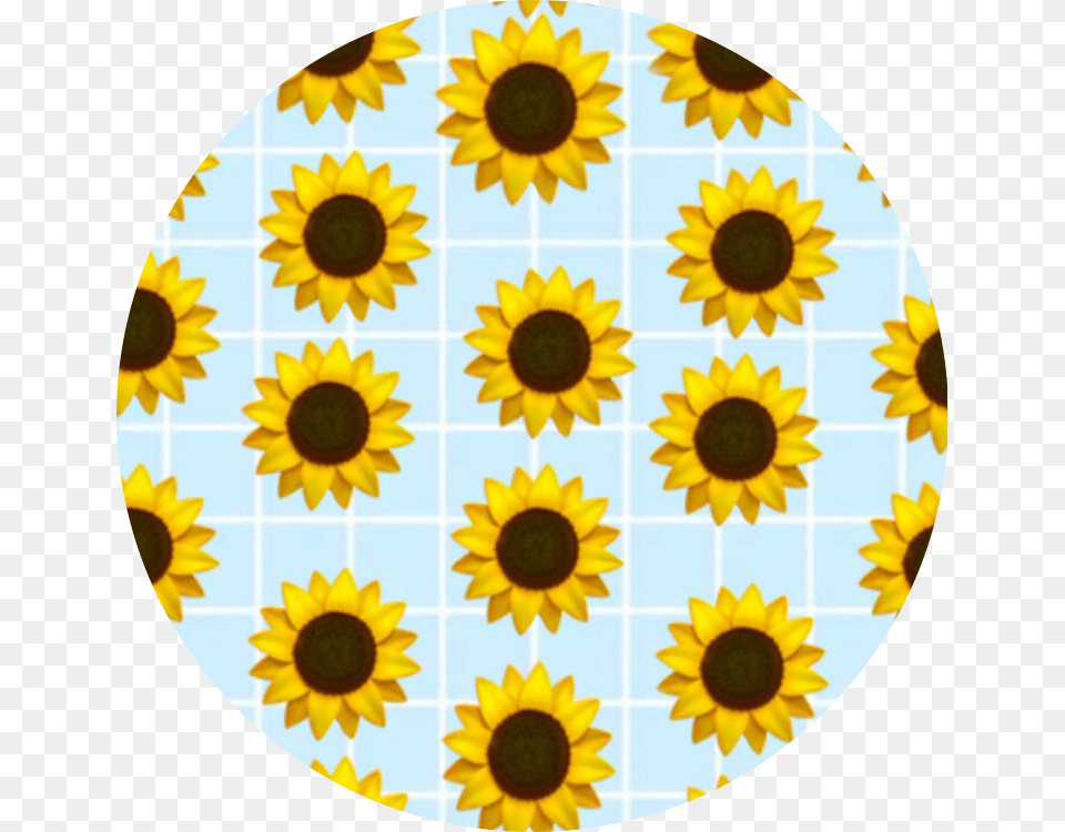 Checkerboard Aesthetic Pattern Background Yellow Blue And Yellow Aesthetic, Flower, Plant, Sunflower, Daisy Png