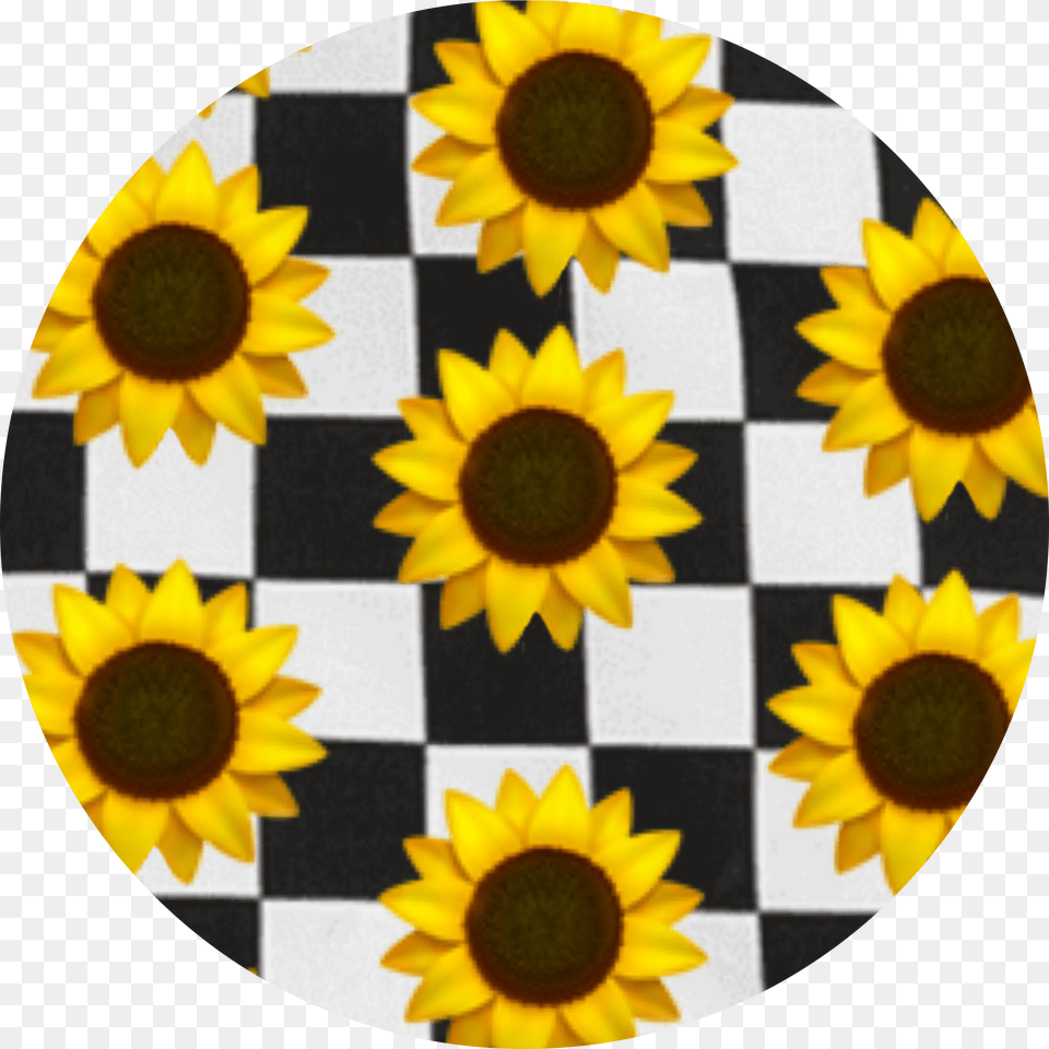 Checkerboard Emoji Sunflowers Background Aesthetic Free Png