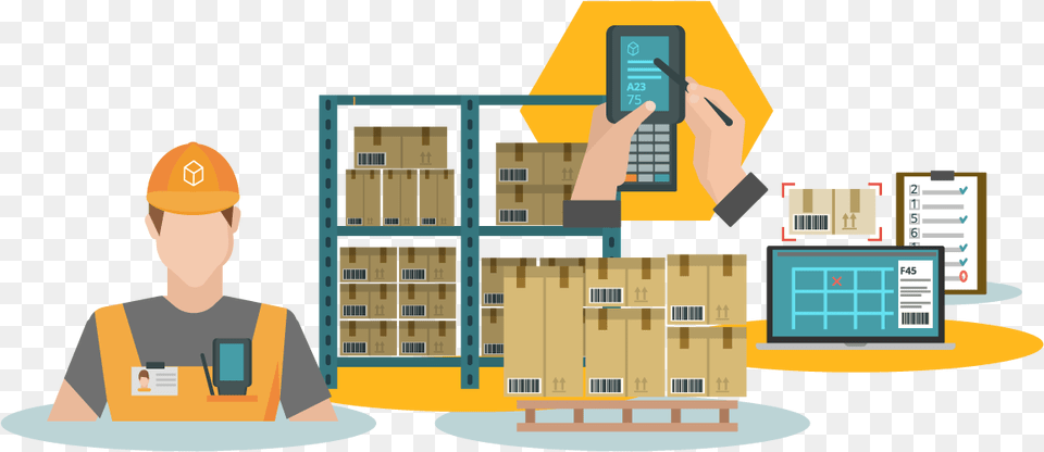 Checking Inventory Warehouse Management System, Box, Adult, Person, Man Png