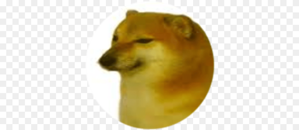 Cheems Roblox Cheems Meme, Animal, Mammal, Canine, Pet Png Image