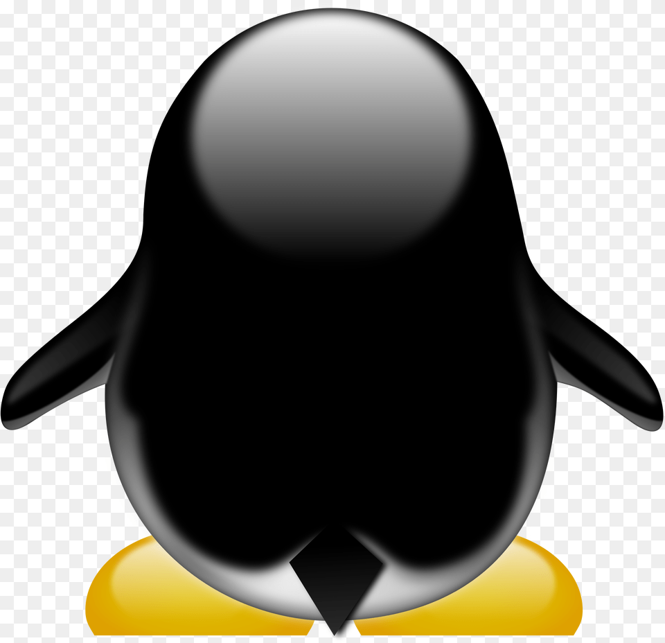 Cheer Megaphone Clipart Penguin Cartoon From The Back, Animal, Bird, Astronomy, Moon Free Transparent Png