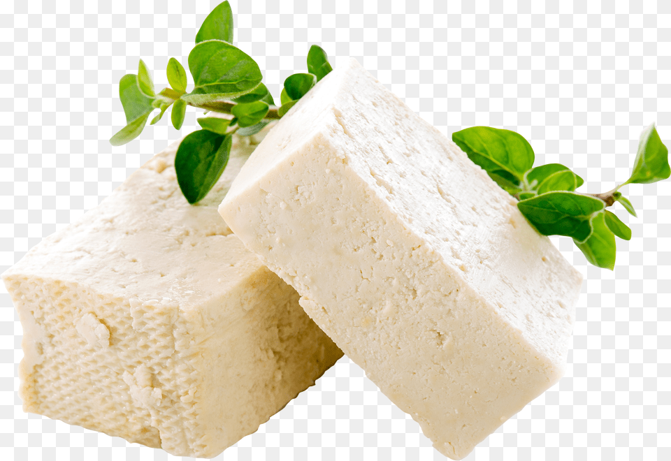 Cheese, Herbs, Plant Png