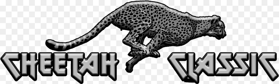 Cheetah, Animal, Mammal, Wildlife, Panther Free Transparent Png