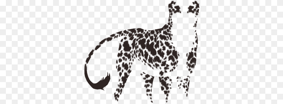 Cheetah, Stencil, Person, Animal, Cat Png Image