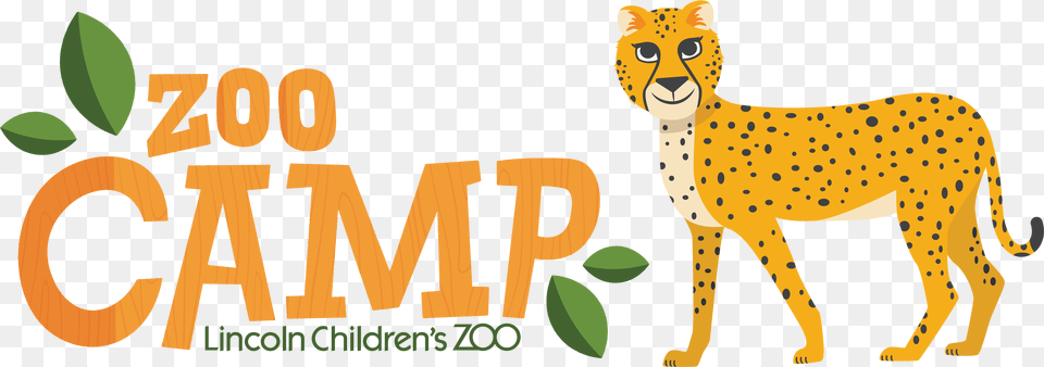 Cheetah, Animal, Mammal, Wildlife, Lion Png