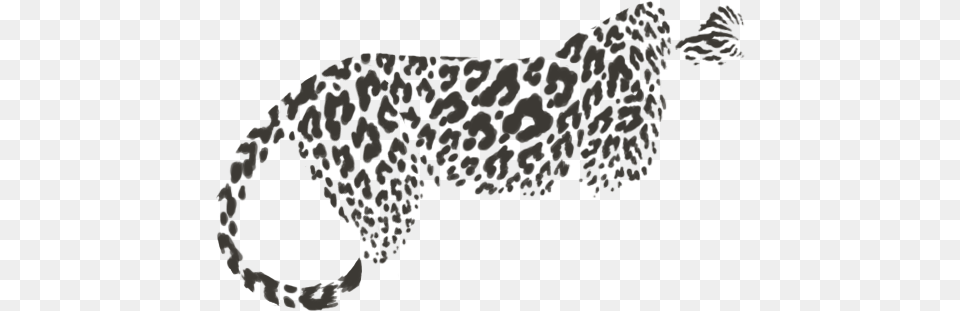 Cheetah, Animal, Mammal, Wildlife, Reptile Png