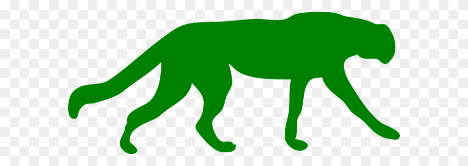 Cheetah Green, Animal, Lion, Mammal Png