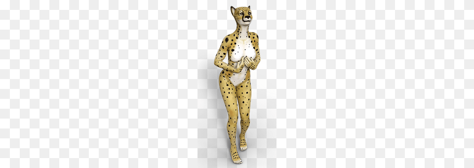 Cheetah Adult, Animal, Female, Mammal Free Transparent Png