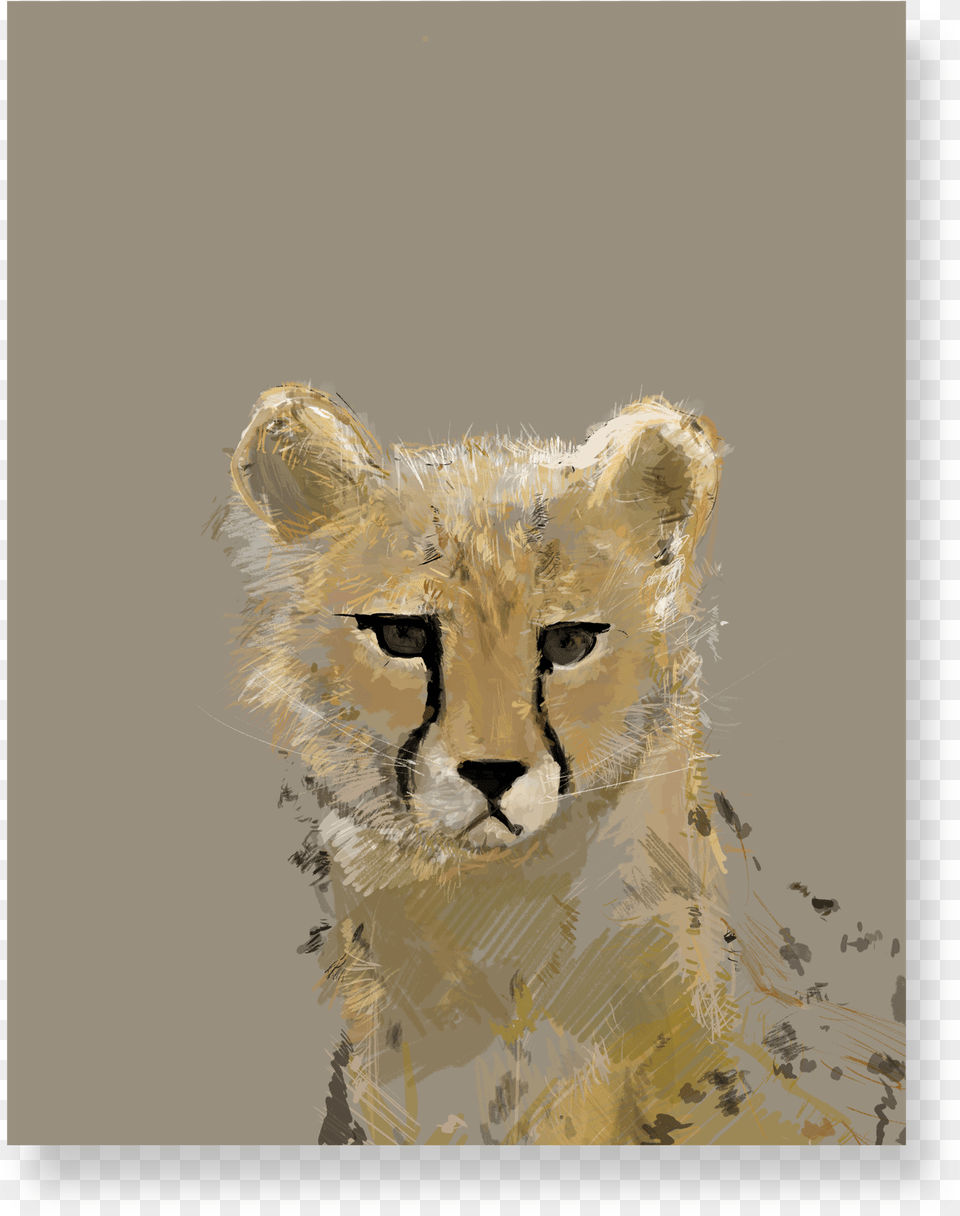 Cheetah, Animal, Mammal, Wildlife, Person Free Transparent Png