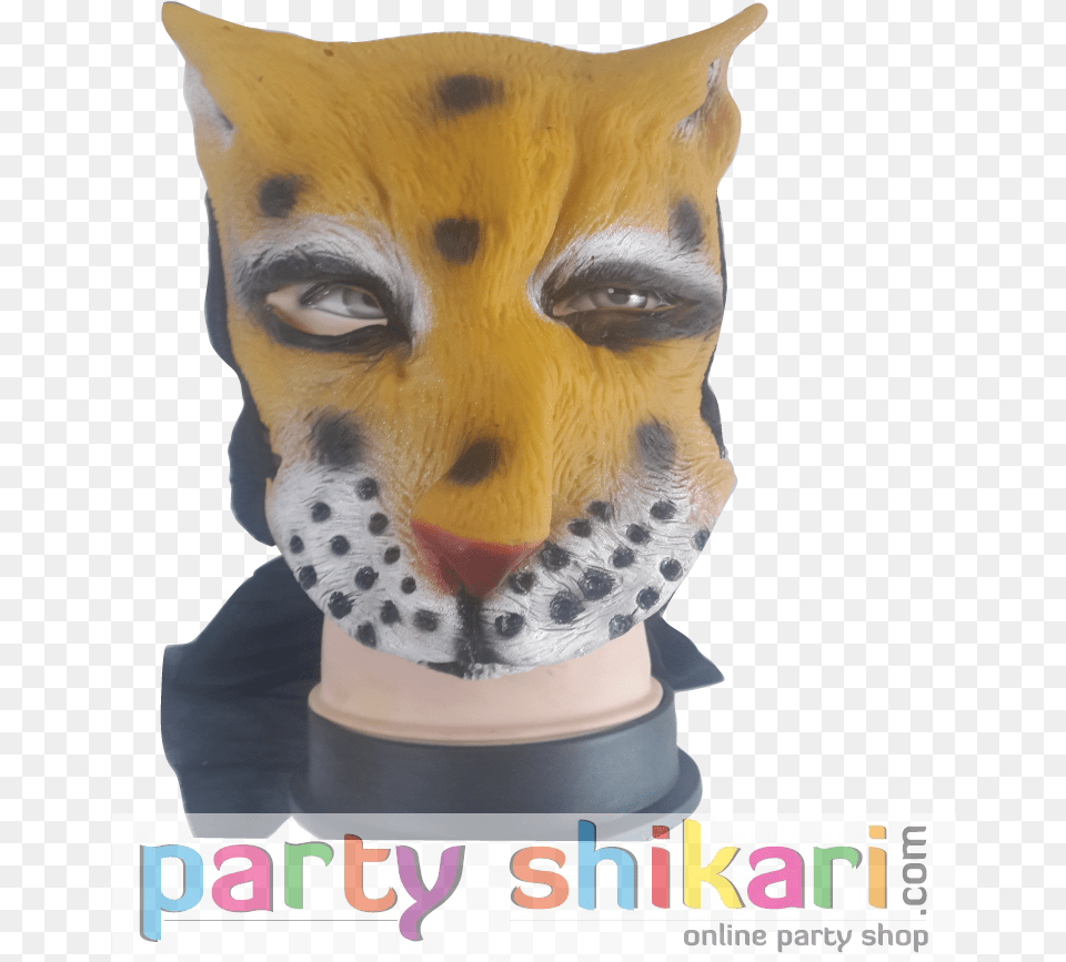 Cheetah, Head, Person, Face, Animal Free Png