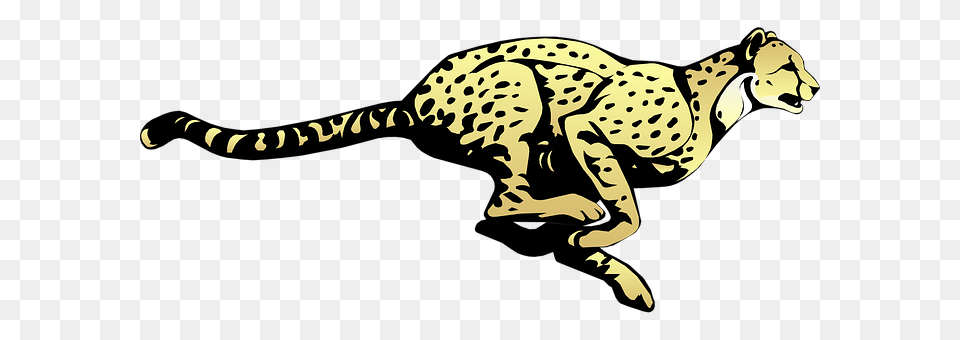 Cheetah Animal, Mammal, Wildlife Png